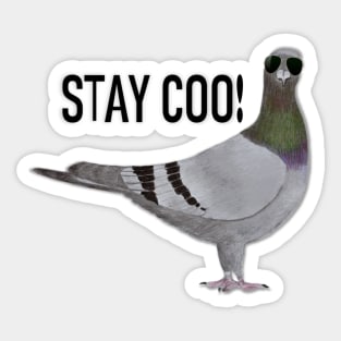 Stay Coo, Says the Pigeon Sticker